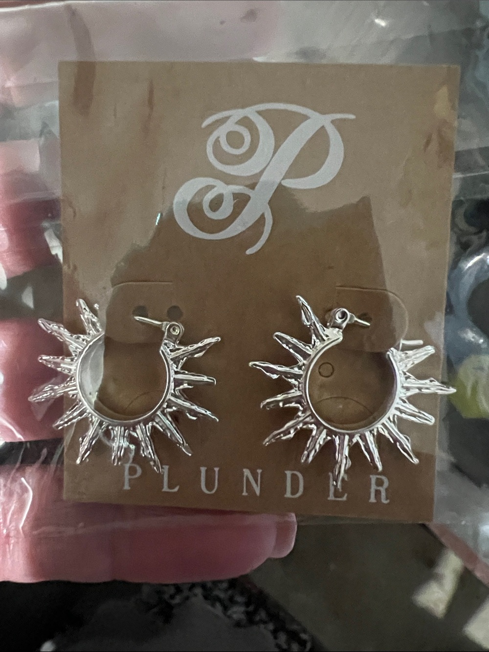 Plunder earrings stainless steel